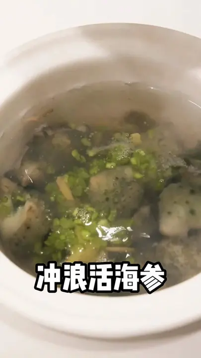 冲浪活海参