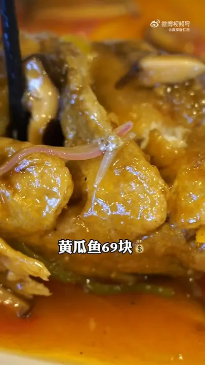 黄瓜鱼