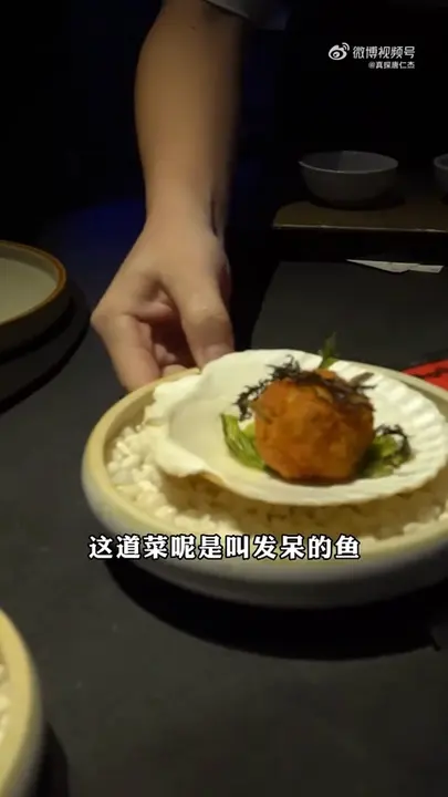 发呆的鱼