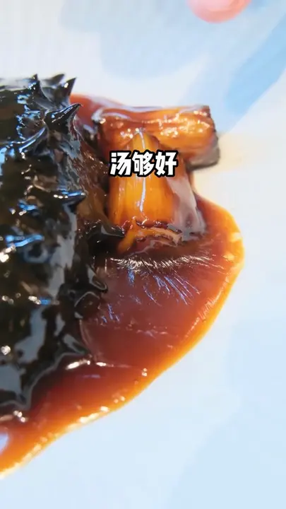 葱烧海参配乌米菌