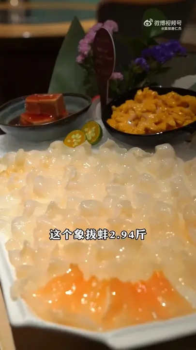 象拔蚌