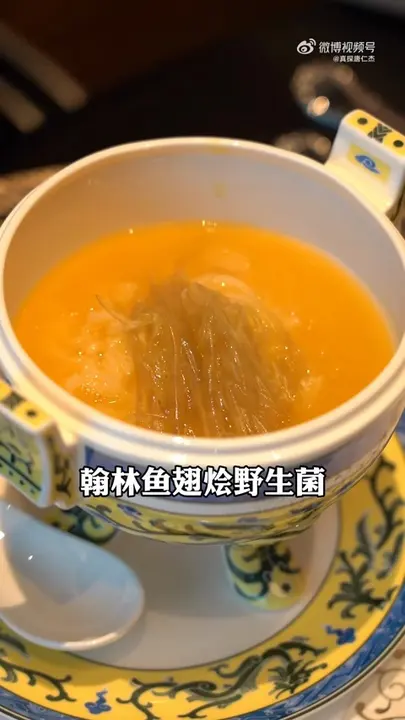 翰林鱼翅烩野生菌