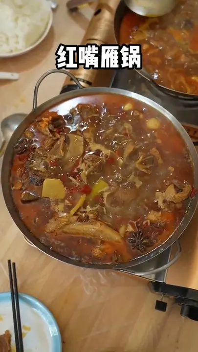 红嘴雁锅