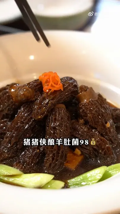 猪猪侠酿羊肚菌