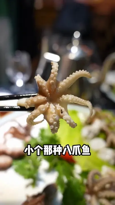 桃花蛸