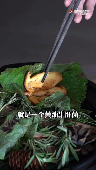 黄油牛肝菌