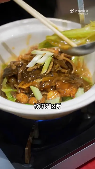 纹斑翅