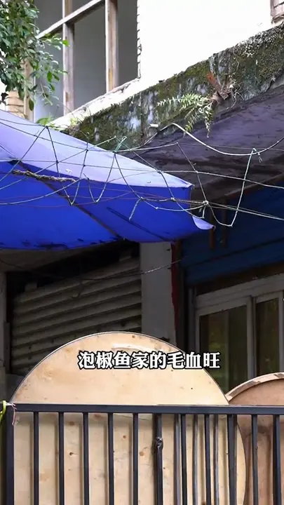 毛血旺
