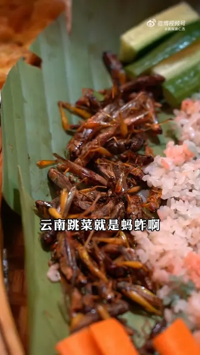 云南跳菜