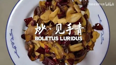 炒见手青
