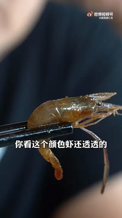 杨梅酒醉虾