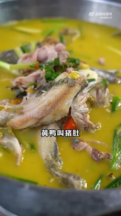 黄鸭叫猪肚