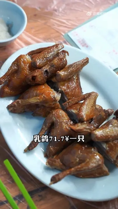 乳鸽