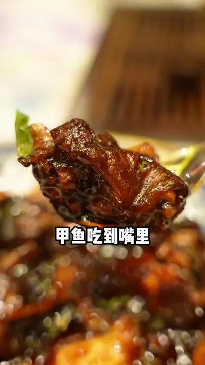 冰糖甲鱼