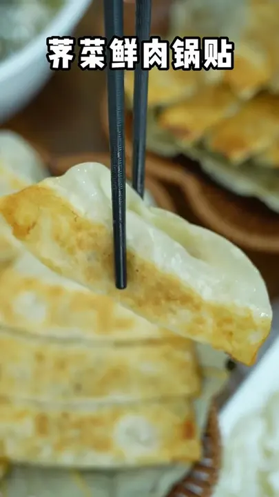 荠菜鲜肉锅贴