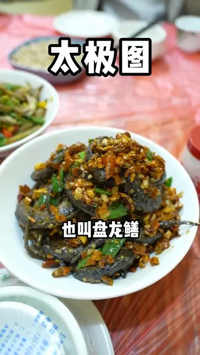 太极图（盘龙鳝）