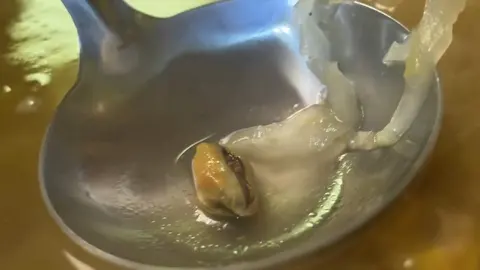 汆锅底