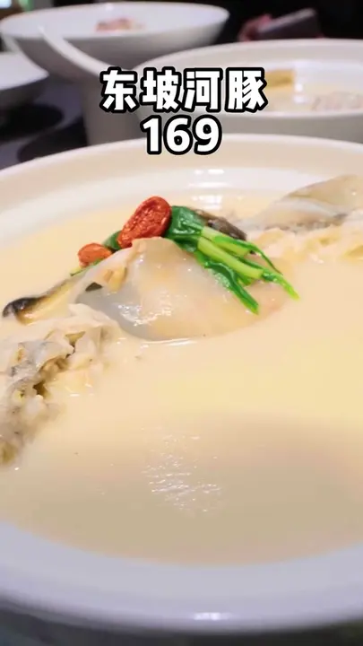 东坡河豚