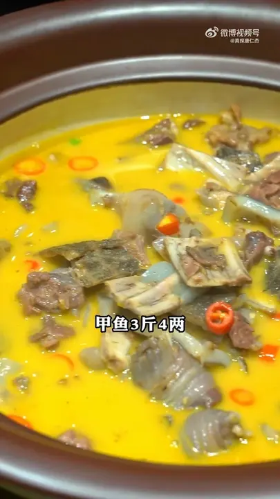 甲鱼
