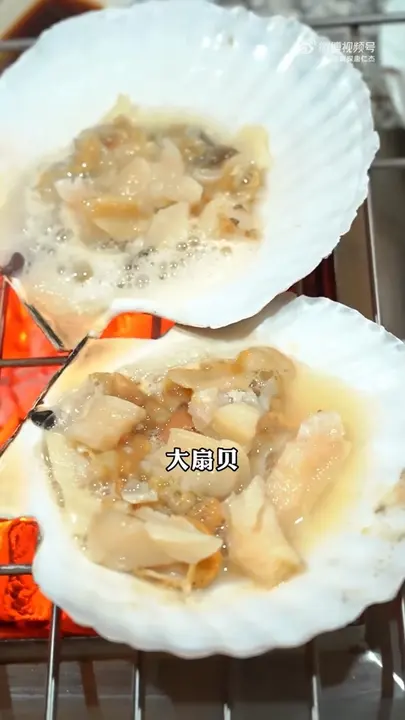 大扇贝