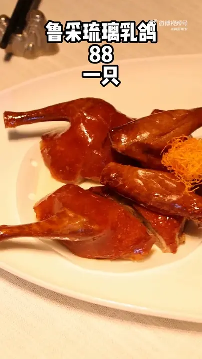 鲁采琉璃乳鸽