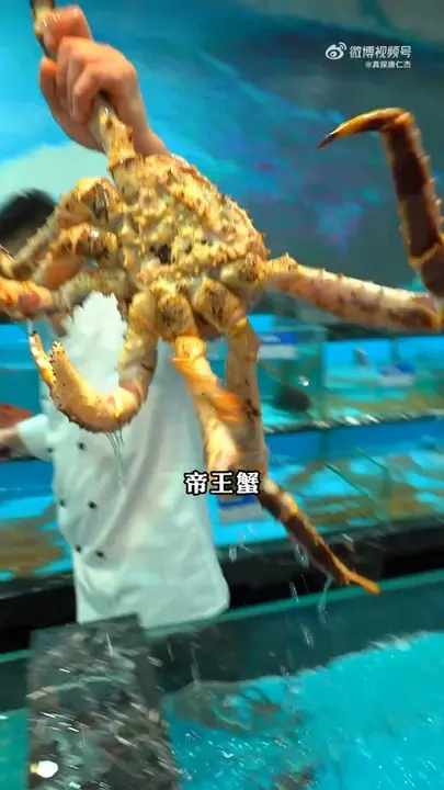帝王蟹