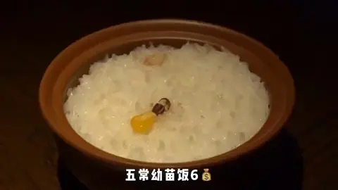 五常幼苗饭