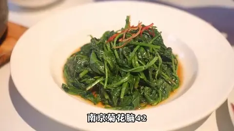 南京菊花脑