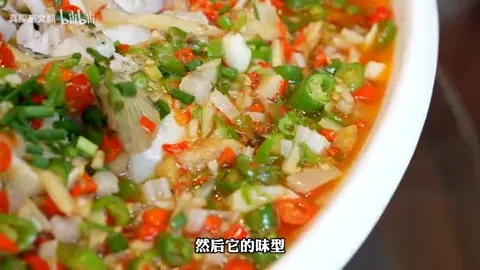 飞虹鲈鱼