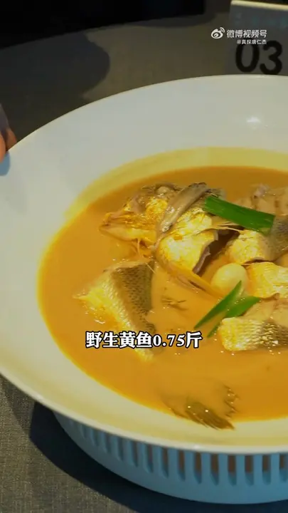 野生黄鱼