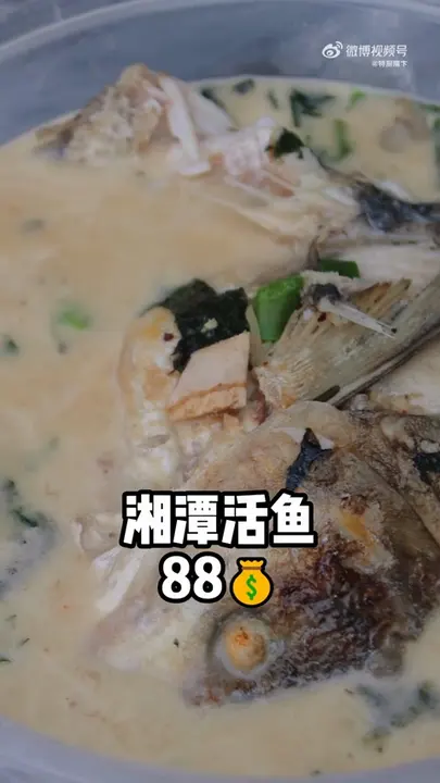 湘潭活鱼