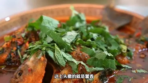 藿香鲫鱼