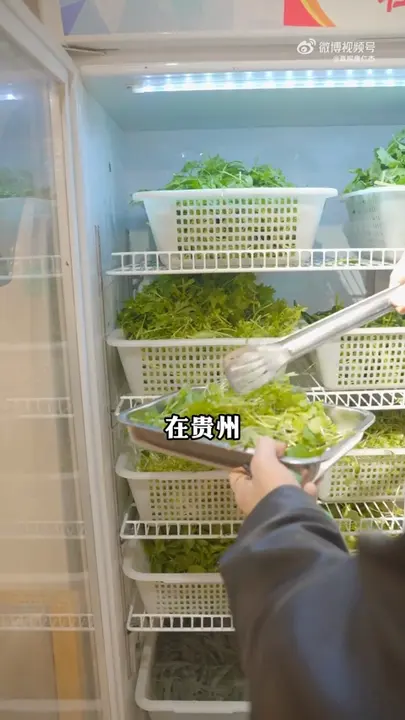 薄荷