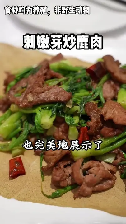 刺嫩芽炒鹿肉