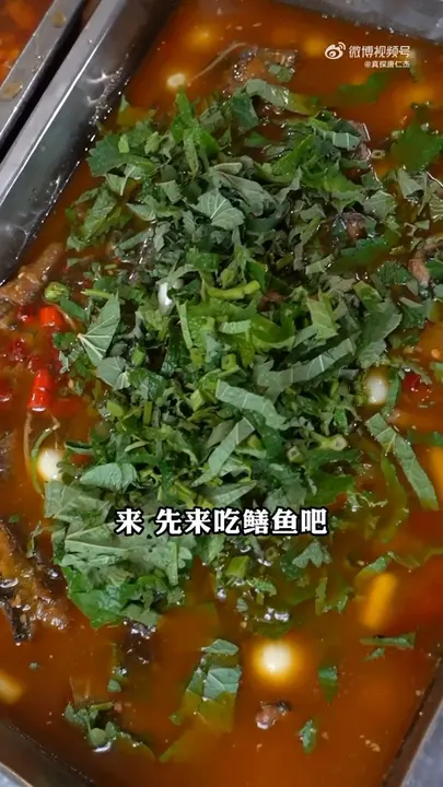 鳝鱼