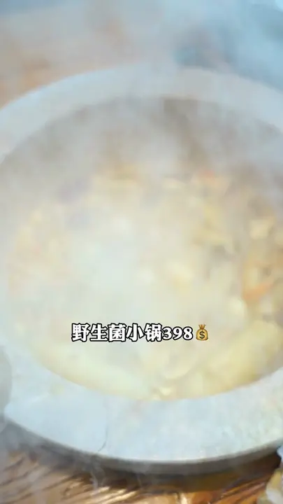 野生菌小锅