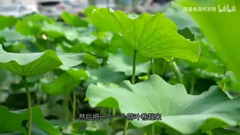 清炒虾仁宝