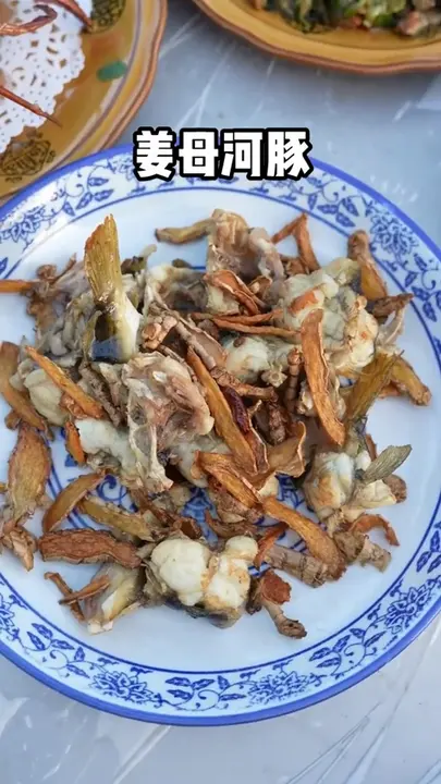 姜母河豚