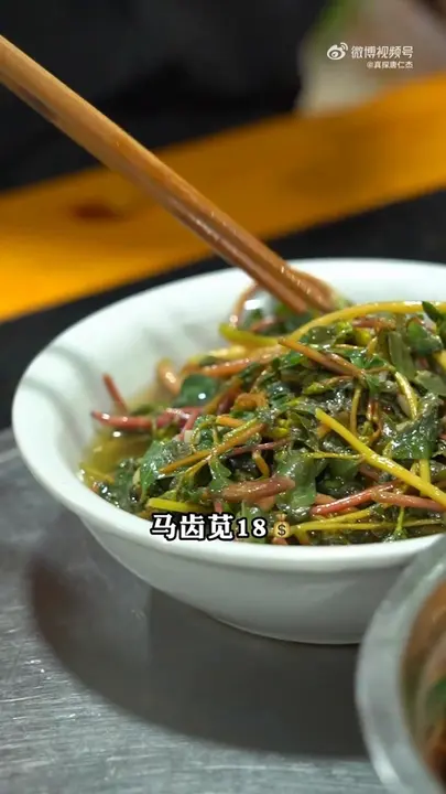 马齿苋