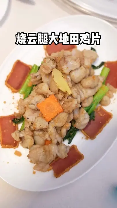 烧云腿大地田鸡片