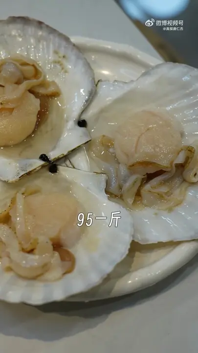 扇贝