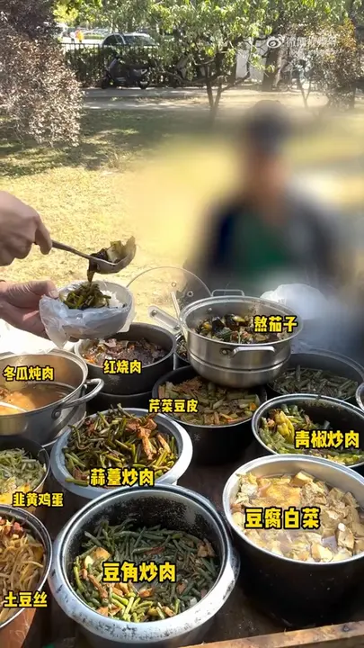 豆腐白菜