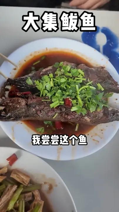 鲅鱼
