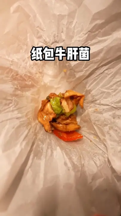 纸包牛肝菌