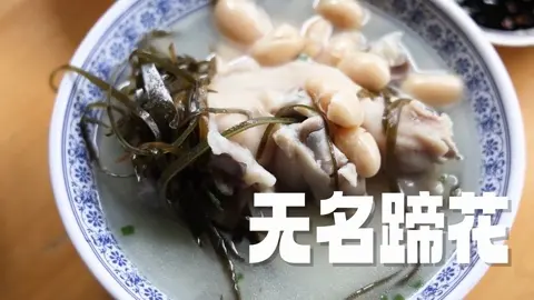 无名蹄花
