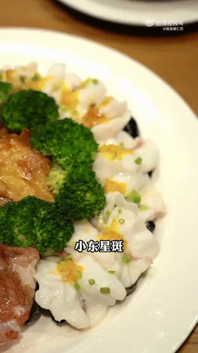 小东星斑