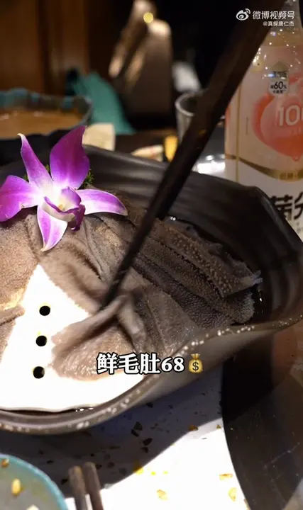 鲜毛肚