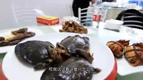 卤甲鱼