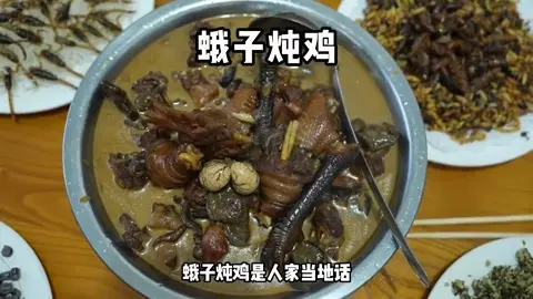 蛾子炖鸡