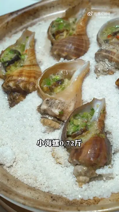 小海螺